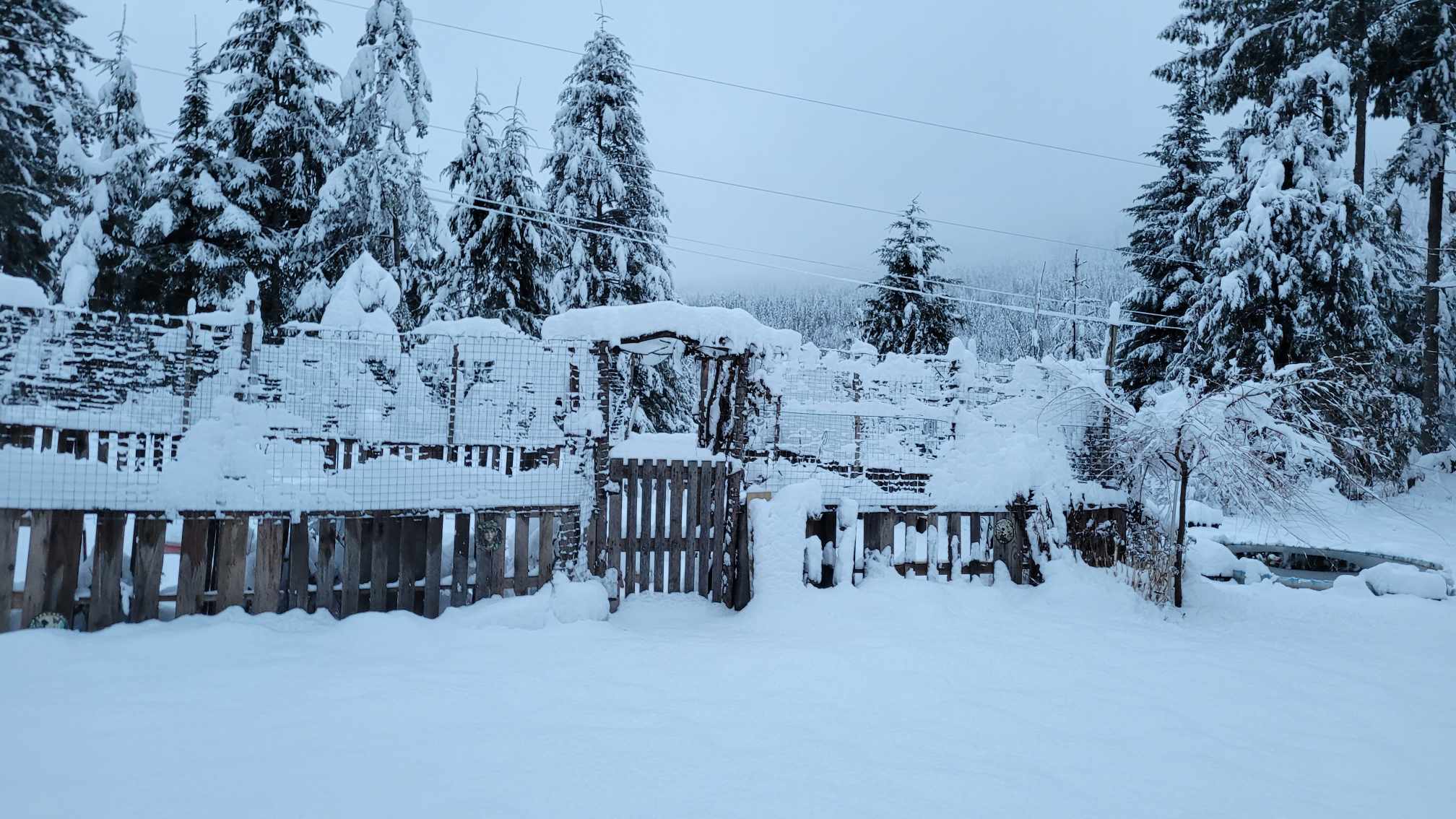 Let it Snow!! Let it Snow!!