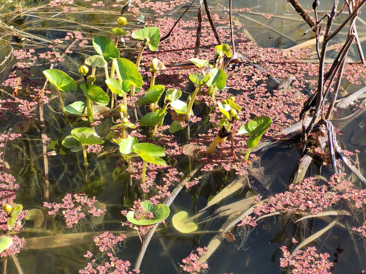 Spring is In the Air
